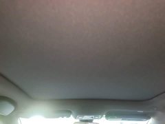 BYD Dolphin 420km Freedom Edition - ფოტო 17