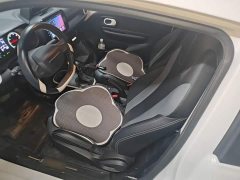 SAIC Clever 311km Vitality Pop Edition - ფოტო 14