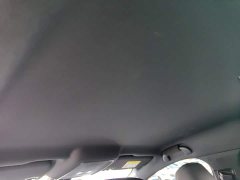 BYD Qin PLUS DM-i Smart Drive Edition 55KM Leading - ფოტო 15