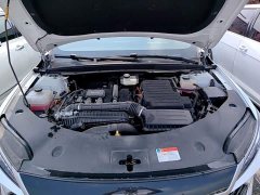 BYD Qin PLUS DM-i Smart Drive Edition 55KM Leading - ფოტო 17