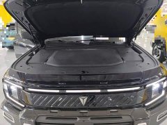 Deepal Deep Blue G318 Worry-Free Adventure Edition Four-Wheel Drive Distant Mountain Edition - ფოტო 19