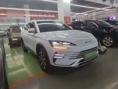BYD Song Plus New Energy 2023 Champion Edition DM-i 110KM Flagship - ფოტო 3