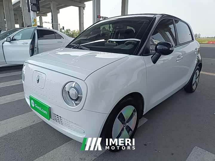 ORA Black Cat Facelift 301km Pet-Lover Edition LFP Battery - ავტომობილი ჩინეთიდან