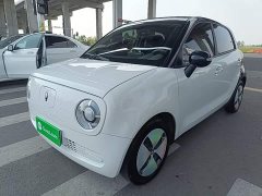 ORA Black Cat Facelift 301km Pet-Lover Edition LFP Battery - ფოტო 1