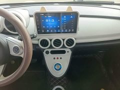 ORA Black Cat Facelift 301km Pet-Lover Edition LFP Battery - ფოტო 12