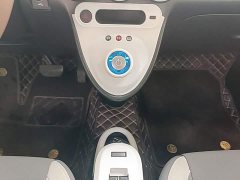 ORA Black Cat Facelift 301km Pet-Lover Edition LFP Battery - ფოტო 13
