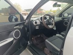 ORA Black Cat Facelift 301km Pet-Lover Edition LFP Battery - ფოტო 15