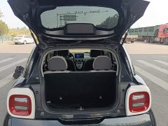 ORA Black Cat Facelift 301km Pet-Lover Edition LFP Battery - ფოტო 18