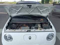 ORA Black Cat Facelift 301km Pet-Lover Edition LFP Battery - ფოტო 19
