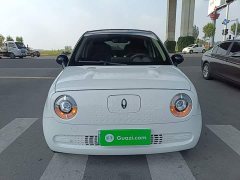 ORA Black Cat Facelift 301km Pet-Lover Edition LFP Battery - ფოტო 2