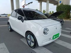ORA Black Cat Facelift 301km Pet-Lover Edition LFP Battery - ფოტო 3