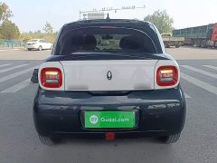 ORA Black Cat Facelift 301km Pet-Lover Edition LFP Battery - ფოტო 5