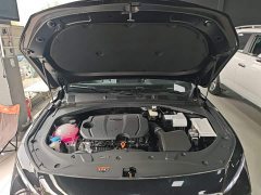 Geely Xingrui Dongfang Yao 1.5TD Fuyao Edition - ფოტო 19