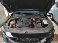 Geely Xingrui 2.0T Diesel Luxury - ფოტო 19
