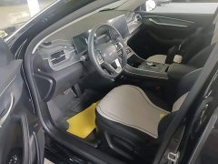 BYD Destroyer 05 Glory Edition DM-i 55KM Luxury - ფოტო 14