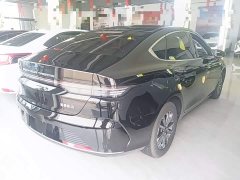 BYD Destroyer 05 Glory Edition DM-i 55KM Luxury - ფოტო 6