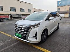 Denza BYD Denza D9 DM-i 1050 Premium - ფოტო 1