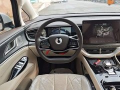 Denza BYD Denza D9 DM-i 1050 Premium - ფოტო 10