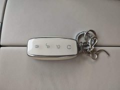 Denza BYD Denza D9 DM-i 1050 Premium - ფოტო 8