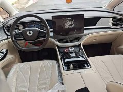 Denza BYD Denza D9 DM-i 1050 Premium - ფოტო 9