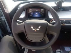 Wuling Hongguang MINIEV 2020 Deluxe Edition LFP Battery - ფოტო 10
