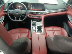 Changan CS75PLUS 1.5T Automatic Deluxe - ფოტო 9