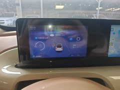 Wuling Binguo 2025 333km Joy Edition - ფოტო 11