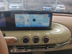 Wuling Binguo 2025 333km Joy Edition - ფოტო 12