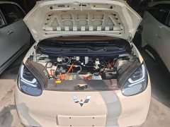 Wuling Binguo 2025 333km Joy Edition - ფოტო 19