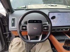 Li Auto L6 Pro - ფოტო 10