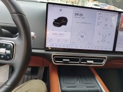 Li Auto L6 Pro - ფოტო 12