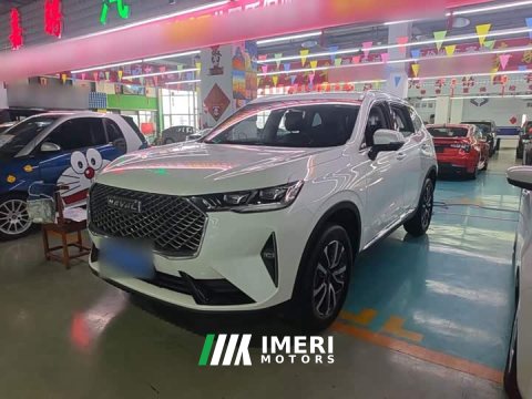 2021 Haval H6 Third Generation 1.5T Automatic Two-Wheel Drive Pro - ავტომობილი ჩინეთიდან