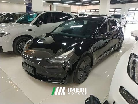 2022 Tesla Model 3 Rear-Wheel Drive - ავტომობილი ჩინეთიდან