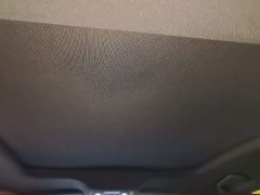 BYD Seal 2023 DM-i 1.5L 121km Luxury - ფოტო 17