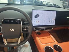Li Auto L6 2024 Max - ფოტო 9
