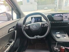 SAIC MG4 2022 520km Range Flagship Edition - ფოტო 14