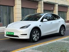 Tesla Model Y Rear-Wheel Drive - ფოტო 1