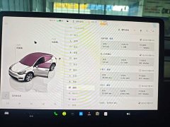 Tesla Model Y Rear-Wheel Drive - ფოტო 11