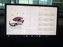 Tesla Model Y Rear-Wheel Drive - ფოტო 12