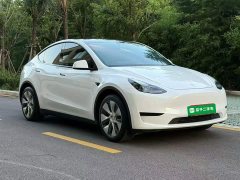 Tesla Model Y Rear-Wheel Drive - ფოტო 3
