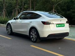 Tesla Model Y Rear-Wheel Drive - ფოტო 4