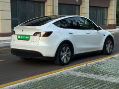 Tesla Model Y Rear-Wheel Drive - ფოტო 6