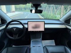 Tesla Model Y Rear-Wheel Drive - ფოტო 9