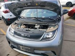 BYD Dolphin 2023 420km Fashion Edition - ფოტო 19