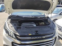 Maxus G50 2020 1.5T Automatic Elite - ფოტო 19