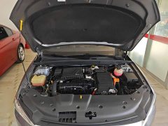 BYD Qin Plus 2021 DM-i 55KM Flagship - ფოტო 19