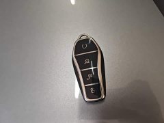 BYD Qin Plus 2021 DM-i 55KM Flagship - ფოტო 8