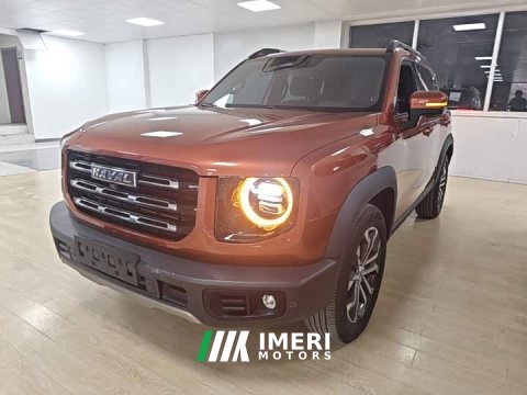 2021 Great Wall Dachshund 1.5T DCT Two-Wheel Drive Border Collie Edition - ავტომობილი ჩინეთიდან