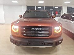 Great Wall Dachshund 1.5T DCT Two-Wheel Drive Border Collie Edition - ფოტო 2