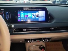ORA Good Cat 2023 401km Standard Range Deluxe LFP - ფოტო 12